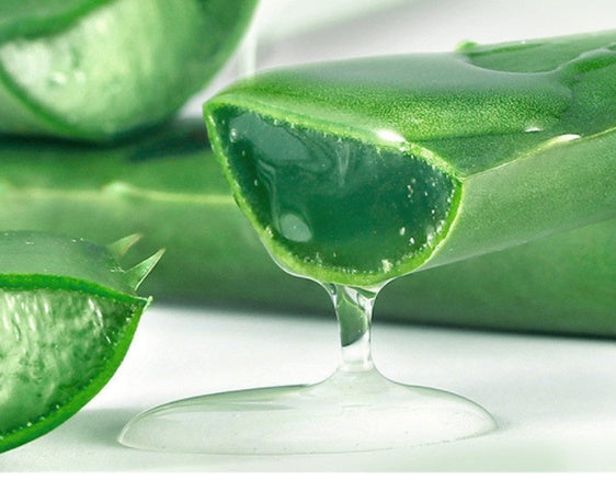 Crema facial hidratante con gel de aloe vera para el cuidado de la piel
